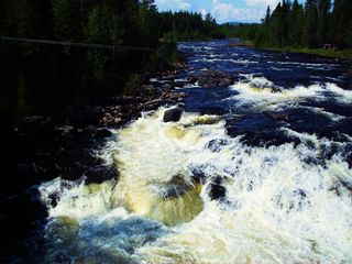 Åsanforsen